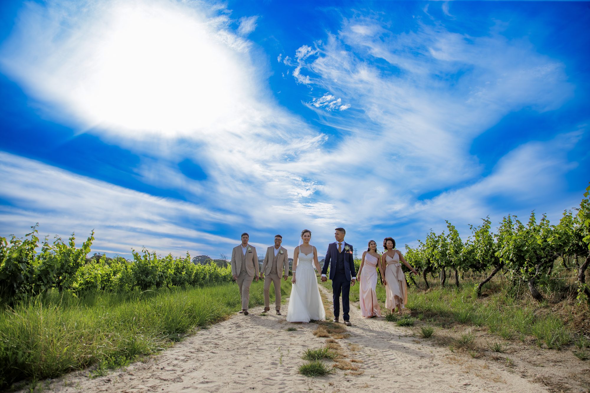 Wedding party walking through Cape vineyard