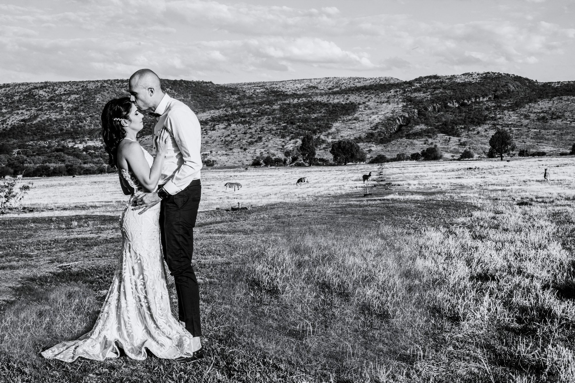 Wedding couple with zebras in the background at Pilanesberg